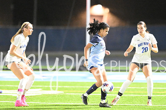 DSC_3514-1_edited-1
