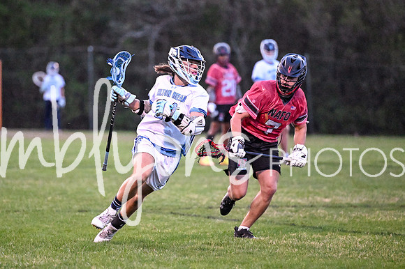 DSC_7362_edited-1