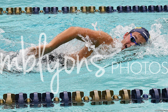 DSC_3206-1_edited-1