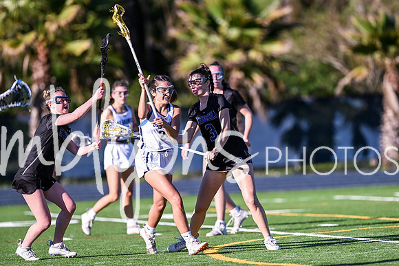 DSC_1409_edited-1
