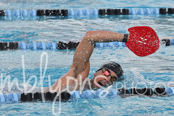 DSC_5877-1_edited-1