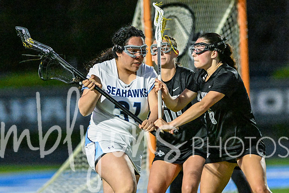 DSC_7985_edited-1