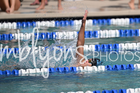 DSC_2233_edited-1