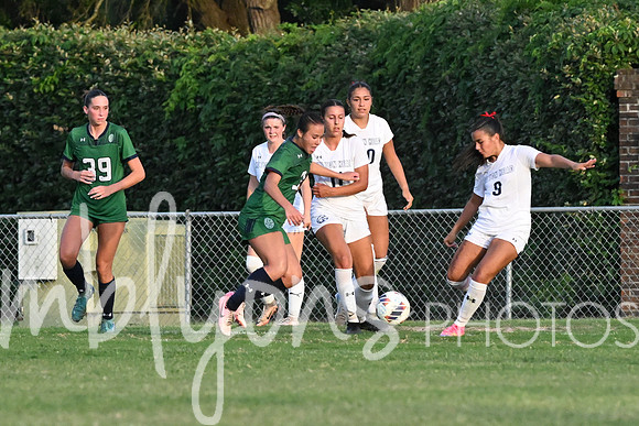 DSC_6571_edited-1