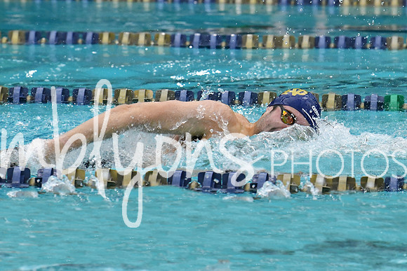 DSC_3673-1_edited-1