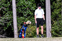 DSC_5778_edited-1