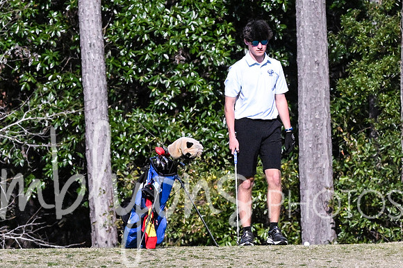 DSC_5778_edited-1
