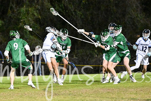 DSC_3644_edited-1