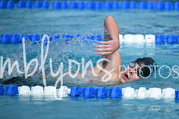 DSC_1898-1_edited-1