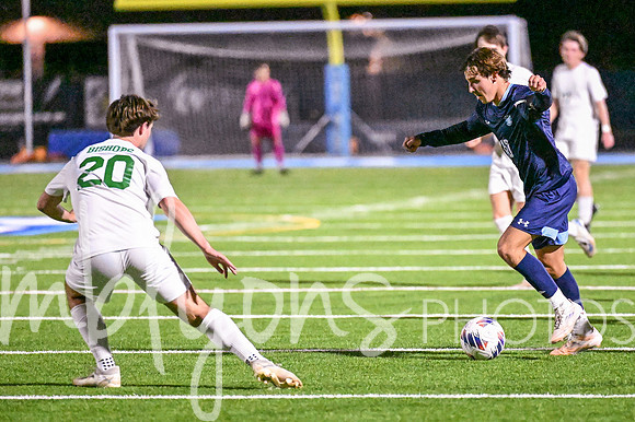 DSC_4195-1_edited-1