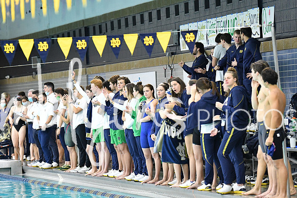 DSC_4620_edited-1