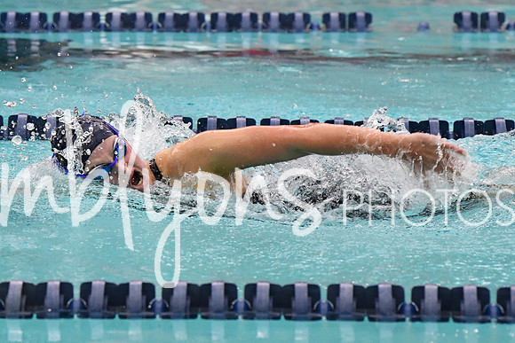 DSC_2960-1_edited-1
