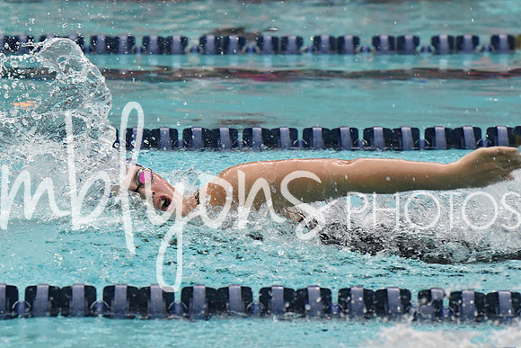 DSC_3366-1_edited-1