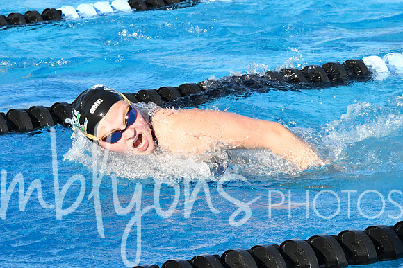 DSC_5338_edited-1