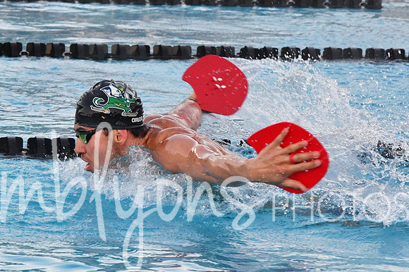 DSC_5893-1_edited-1