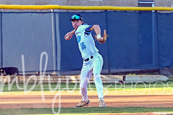 DSC_9331-1_edited-1