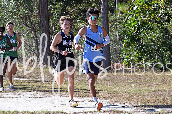 DSC_7365-1_edited-1