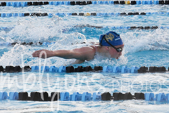 DSC_6073-1_edited-1