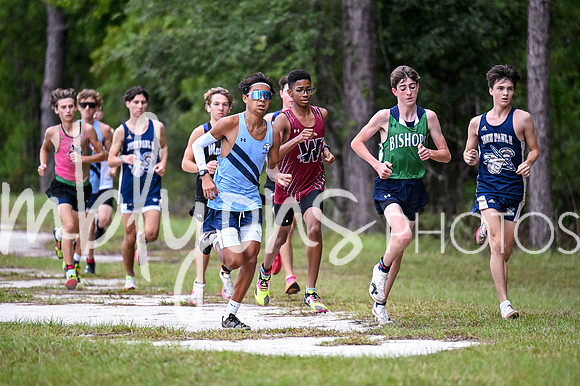 DSC_9736_edited-1