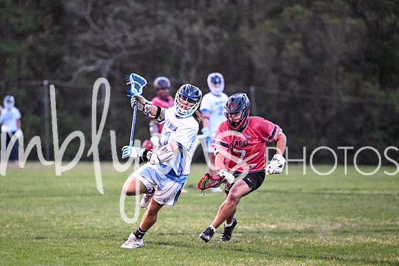 DSC_7356_edited-1