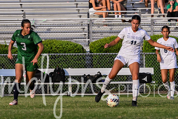 DSC_6547-11_edited-1
