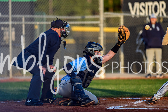 DSC_9495-1_edited-1