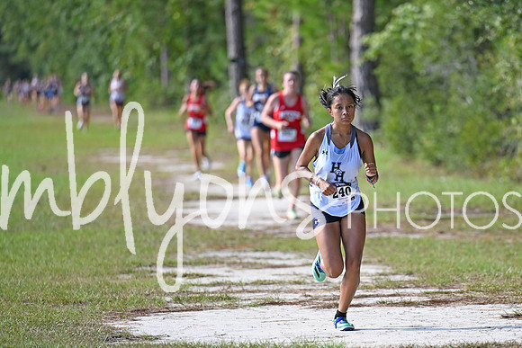 DSC_4185-1_edited-1