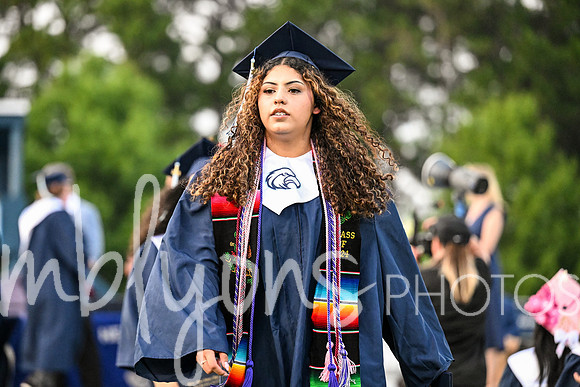 DSC_2262_edited-1