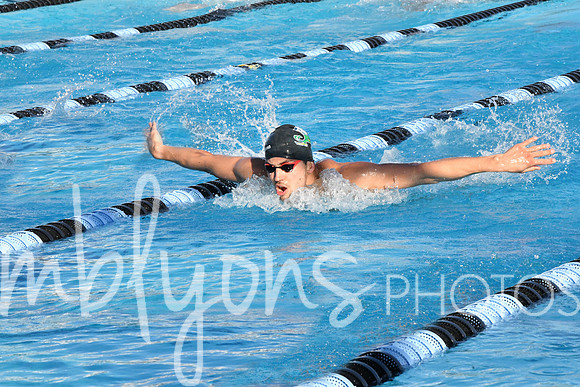DSC_5288-1_edited-1