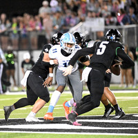 DSC_0938_edited-1