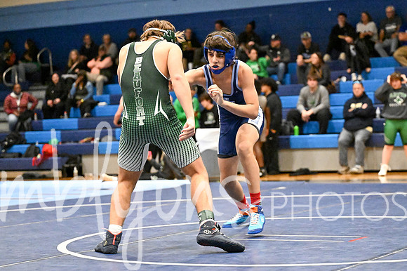 DSC_8433_edited-1