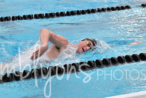 DSC_4472_edited-1
