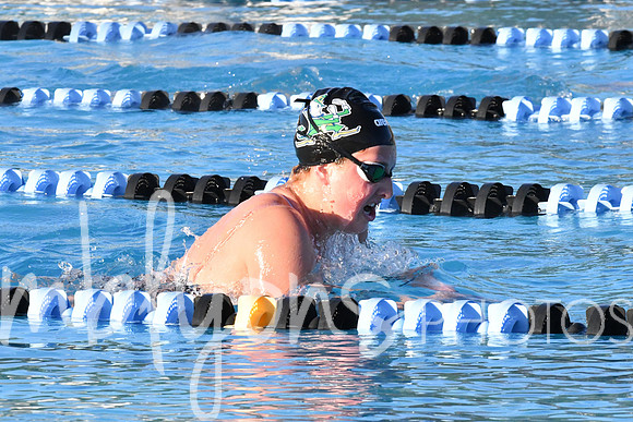 DSC_6364_edited-1