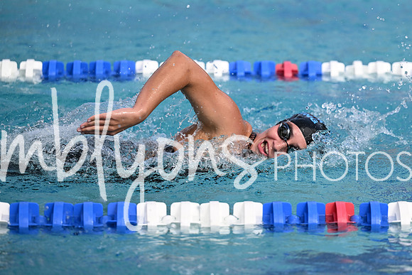 DSC_2082-1_edited-1