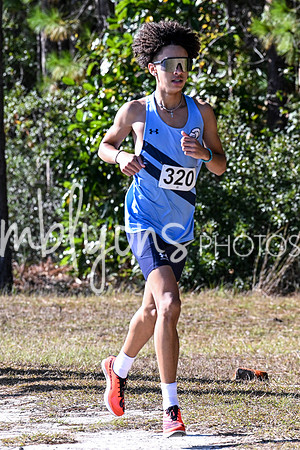 DSC_7386_edited-1