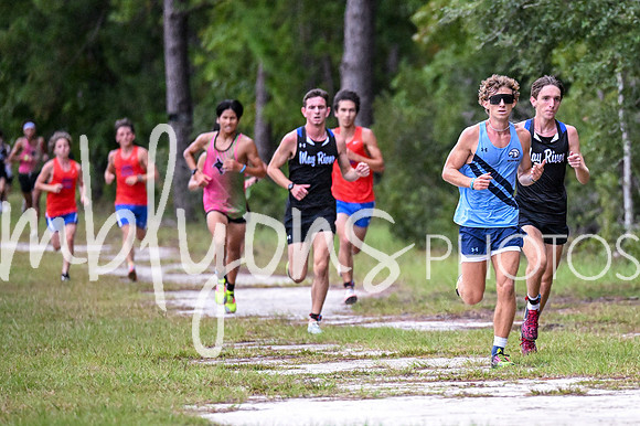DSC_9790_edited-1