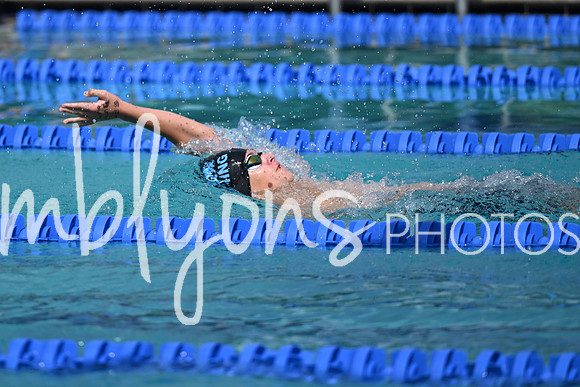 DSC_2226_edited-1