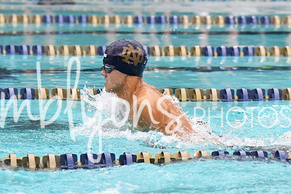 DSC_2820-1_edited-1
