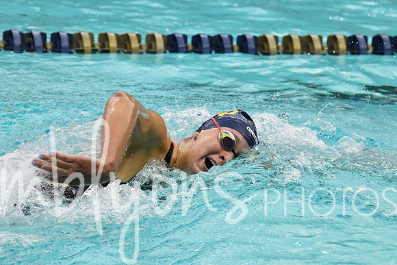 DSC_1765-1_edited-1