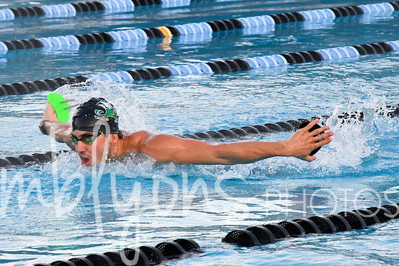 DSC_5936_edited-1