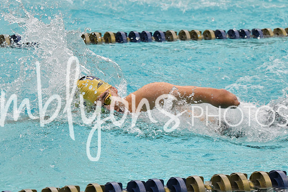DSC_4201_edited-1