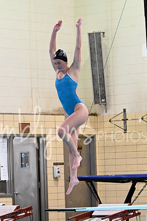 DSC_0537_edited-1