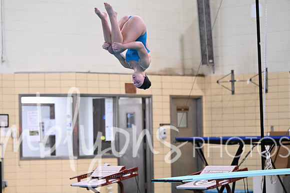 DSC_0559_edited-1