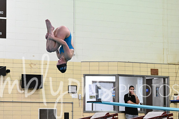 DSC_0800_edited-1