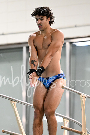 DSC_0622_edited-1