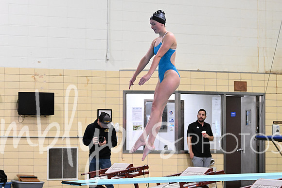 DSC_0833_edited-1