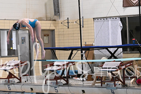 DSC_0543_edited-11