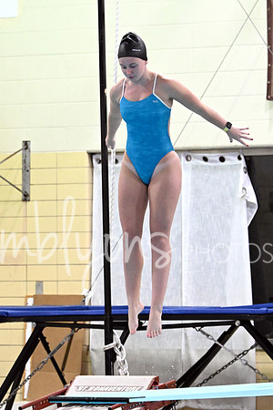 DSC_0476-1_edited-1