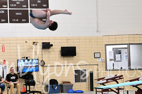DSC_0905_edited-1