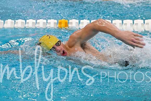 DSC_1185-1_edited-1